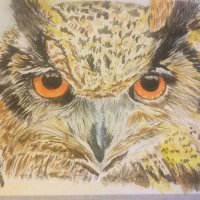 Cepe Smith (@cepesmith) 's Twitter Profile