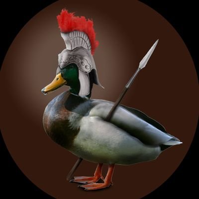 Geddi_Schaszoh's profile picture. 