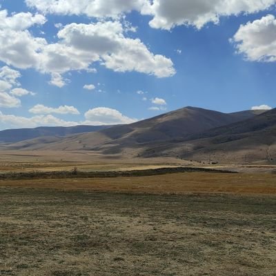 Emre50066719's profile picture. 