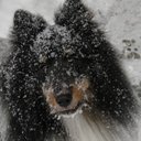 William Laney - @iamwilltwo - Twitter