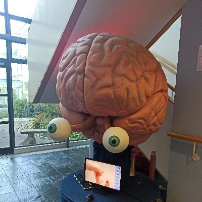 Alex_C_Neuro's profile picture. Cognitive Science
Neuroscience