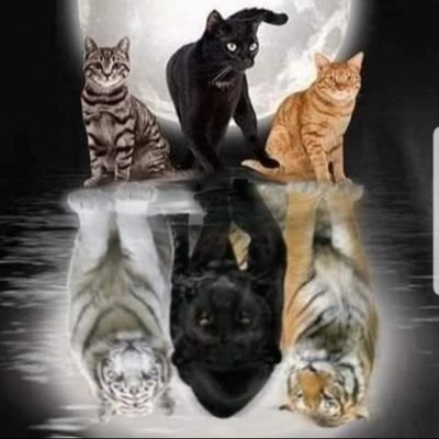AnaEdithCleto's profile picture. Yo soy!!!