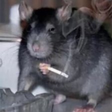 Bren1im's profile picture. Ratio