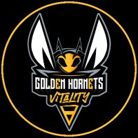 🐝 Golden Hornets 🐝(@GoldenHornets) 's Twitter Profile Photo