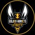 🐝 Golden Hornets 🐝 (@goldenhornets) Twitter profile photo 🐝 Golden Hornets 🐝 (@goldenhornets) Twitter profile photo