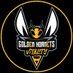 🐝 Golden Hornets 🐝 (@GoldenHornets) Twitter profile photo