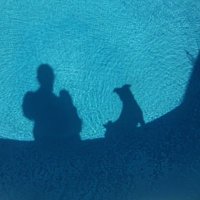Dame Overboard (@dameoverboard) 's Twitter Profile