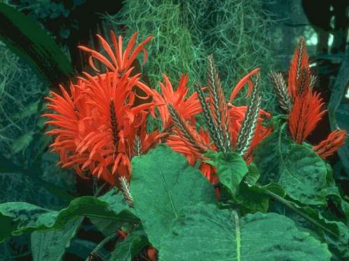 smartagent23's profile picture. 