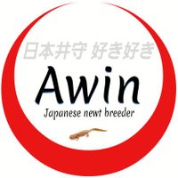 丹羽 (Awin_go_ashore) (@awin_go_ashore) 's Twitter Profile