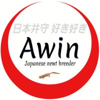 丹羽 (Awin_go_ashore)(@Awin_go_ashore) 's Twitter Profile Photo