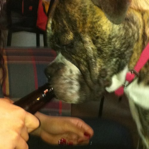 pmayronne's profile picture. 