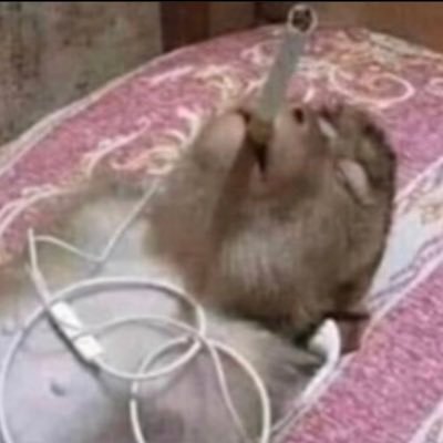 ry__ry__ry__ry's profile picture. 