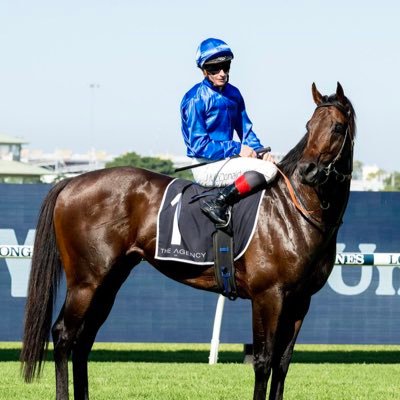 Australian Horse Racing Selections