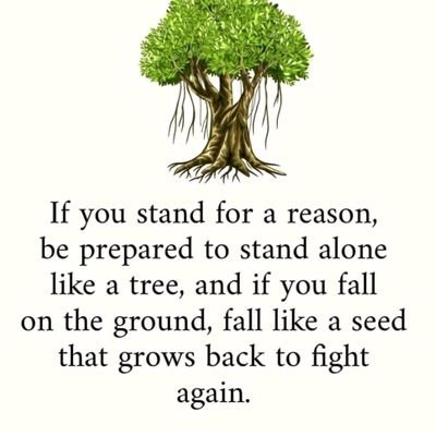 shaikhsohail123's profile picture. Be yourself, everyone else is taken