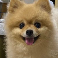 智也 (@jbewmlib4ixkdcl) 's Twitter Profile