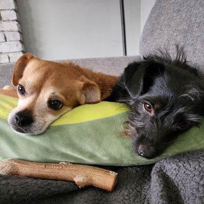 StephanieJ62918's profile picture. 