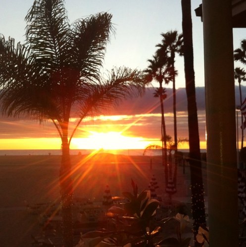 ekogilvie's profile picture. 