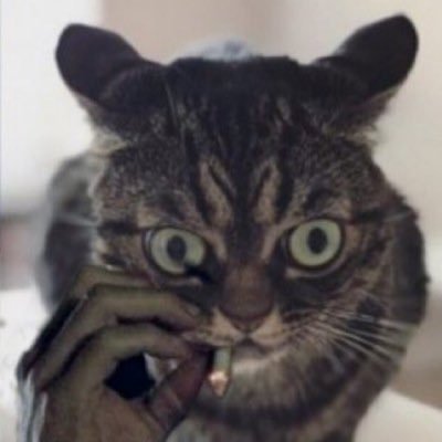 fkcopy's profile picture. And it will be better than anything else you can imagine