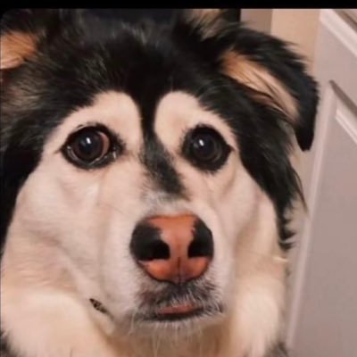 youngOvOpapi's profile picture. 