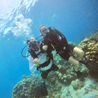 Nicole Leachman (@mrs_leachman) 's Twitter Profile Photo Nicole Leachman (@mrs_leachman) 's Twitter Profile Photo