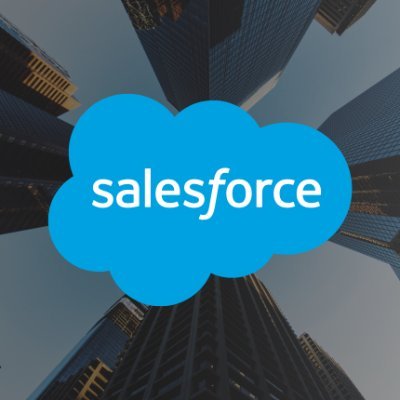 Salesforce Consultant  @salesforce.com
#Salesforce Ohana| AI+Data+CRM=Customer Success|
Most Valuable Professional 2022|
We all have a wonder women inside us.