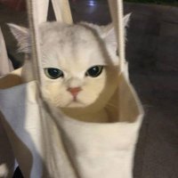 12:24 ☀️ (@serenity_1111) 's Twitter Profile