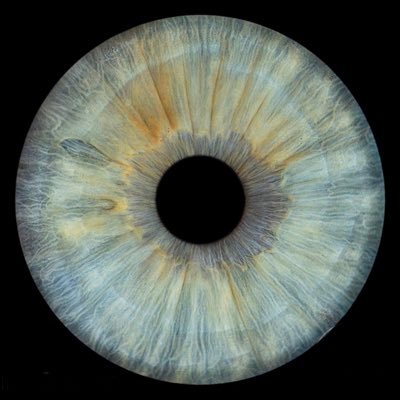 raoulBaudimont's profile picture. 