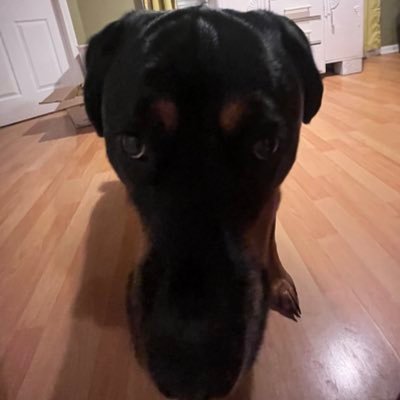 waffle_hoob's profile picture. waff