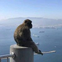 user44 (@user64800) 's Twitter Profile