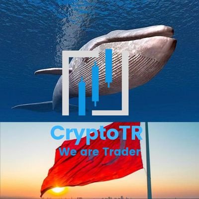 CryptoTrResmi Profile Picture