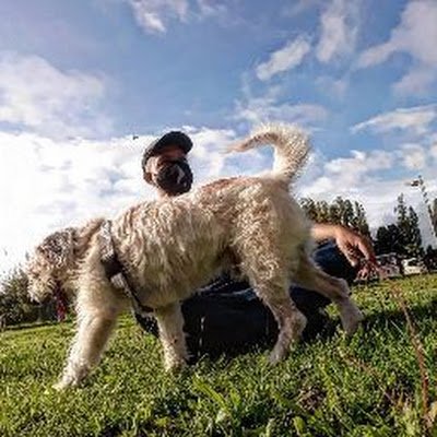 Jugador Casual de Hearthstone.
https://t.co/Wrbd9cv6Bg