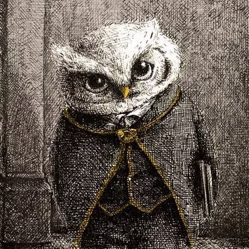 cakefork's profile picture. You're welcome to follow me but I'm reading, listening and observing - I don't post much. I do my best to leave a trail of kind and positive comments behind me.