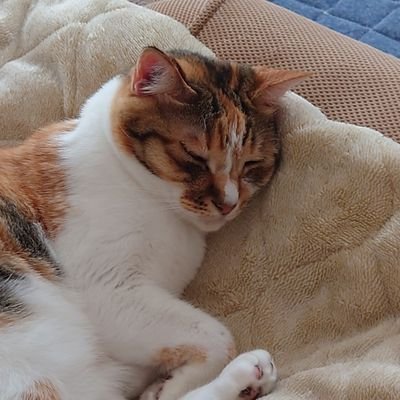 lT1jUMxCWpJD1Qu's profile picture. 