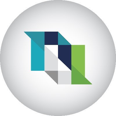 NetLink India Profile