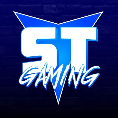 SteveTadGaming's profile picture. Gamer / Streamer / Content Creator