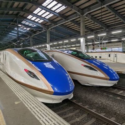 漫画やアニメが好きです。五等分の花嫁、推しの子など。推しはアイ、ルビー、二乃、三玖です。声優のごまちゃん(@igoma_y)推してます!