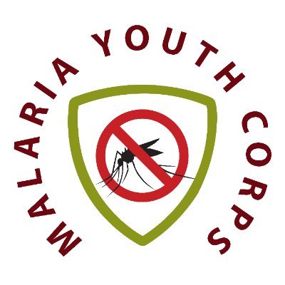 Malaria youth champions across Africa and the diaspora to eliminate malaria by 2030,  Powered by @ALMA_2030  ✉️ youth@alma2030.org