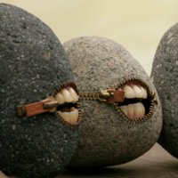 JacarandosoPanda (@oriem81) 's Twitter Profile Photo