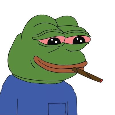 smokes a lot of weed. no financial advise #pepe