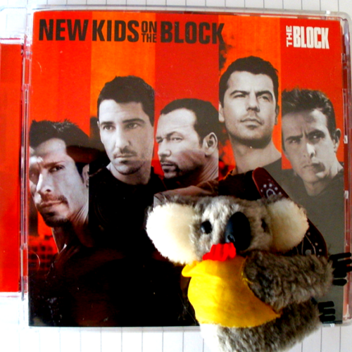 AdamOnTheBlock's profile picture. (( NKOTB fan, #TeamJigsaw, formerly @AdamAustralia. I like horror films and fun stuff!  @MOOcorsa  got me on Twitter! I like sand  #TeamFollowBack ))