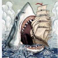 SharkSparks (@iamshark02) 's Twitter Profile