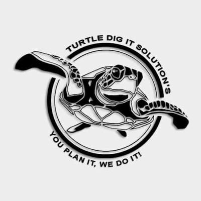 AishaTabassum10's profile picture. Turtle Dig IT Solutions: Leading IT Services and Training company in Pakistan, offering comprehensive solutions for businesses & professional skill development
