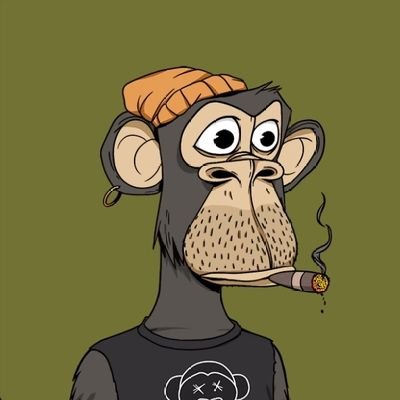 Crypto Trader 📈 | 🙎 moderator| block academy|Twitter raider | Shiller | Website developer 🧑💻