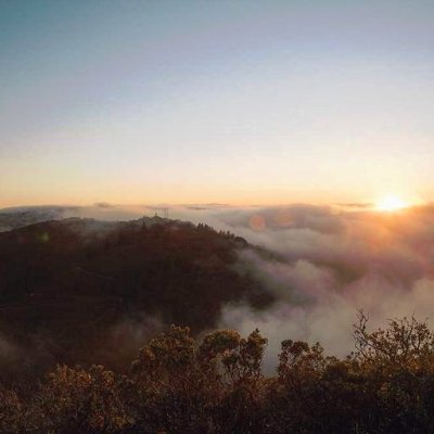 MCroftoon86258's profile picture. However, a finny nerve is a sun of the mind.