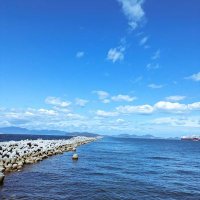 つね (@tsuneo_f) 's Twitter Profile