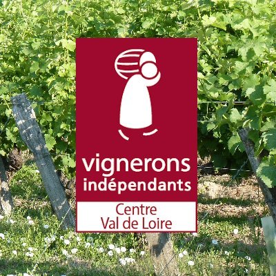 Vignerons Indépendants du Centre Val de Loire - Fédération de 290 vignerons indépendants mais pas isolés !