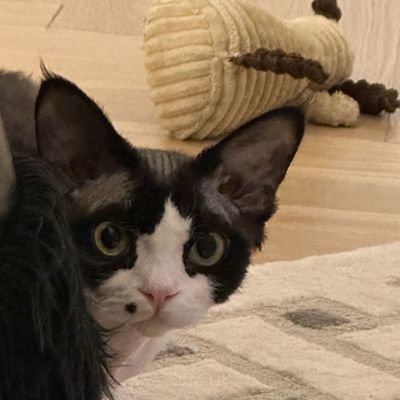 Weiiiiさんのプロフィール画像