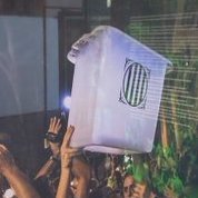 nestweety's profile picture. 