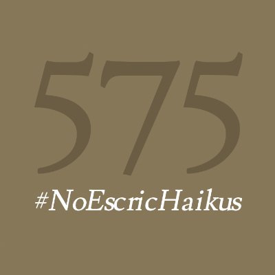 noescrichaikus Profile Picture