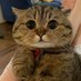 tata (@chimchimtoplay) Twitter profile photo tata (@chimchimtoplay) Twitter profile photo
